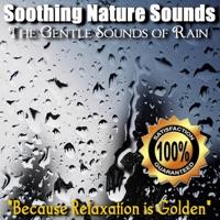 The Gentle Sounds of Rain