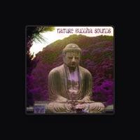 Buddha Meditation