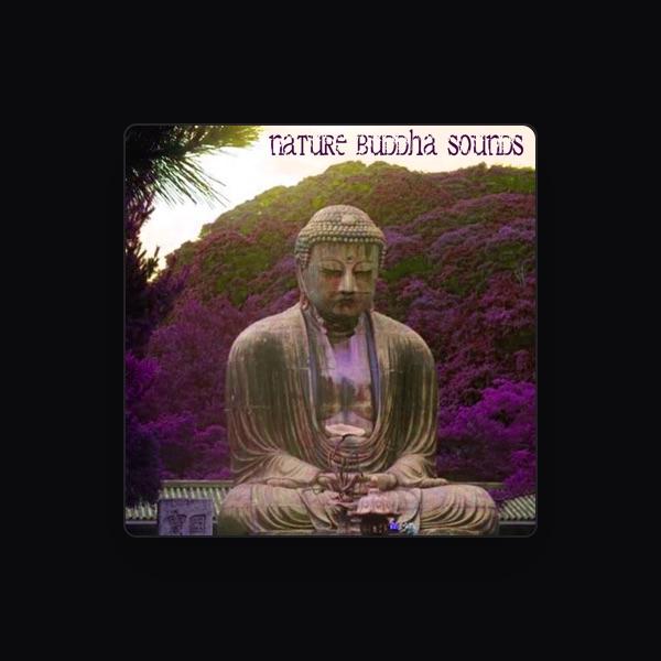 Buddha Meditation