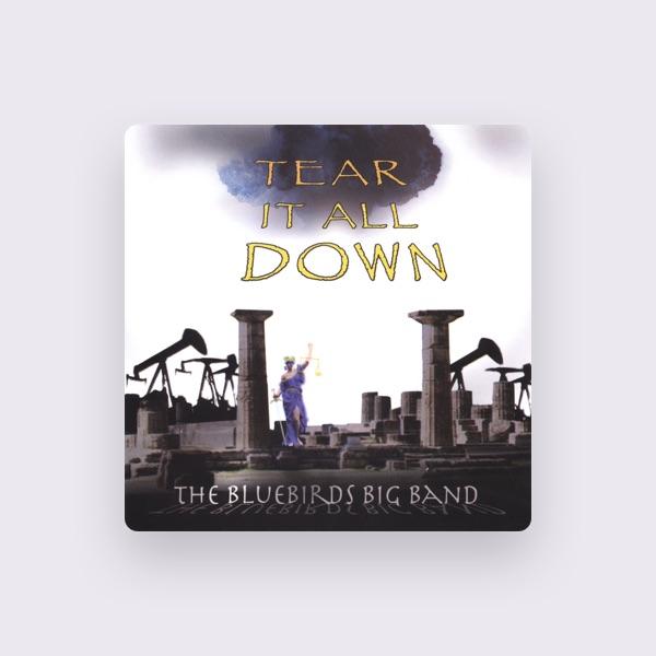 BlueBirds Big Band