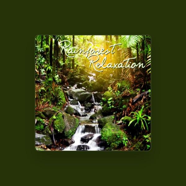 Calming Rainforest Sounds