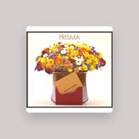 Prisma