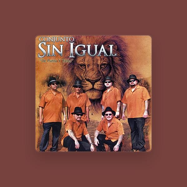 Conjunto Sin Igual