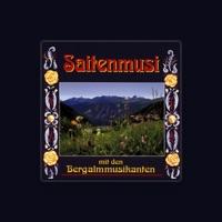Bergalmmusikanten