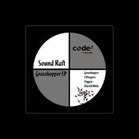 Sound Raft