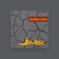 Brother Mule
