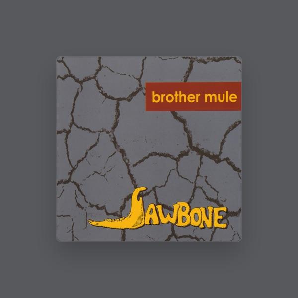 Brother Mule