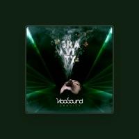 viba sound
