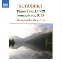 Piano Trio no. 2 in E flat major, Op. 100, D. 929: II. Andante con moto