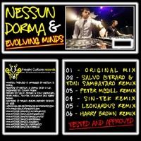 Evolving Minds (Harry Brown Remix)