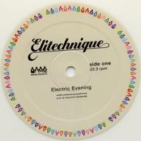 Elektric Evening