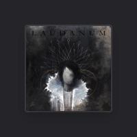 Laudanum