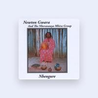 Newton Gwara and the Nheravauya Mbira Group