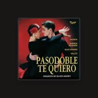 Orquesta de Silver Andrey