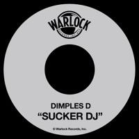 Sucker DJ (12inch Version)