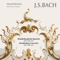Concerto No. 3 in G Major, BWV 1048: I. Allegro