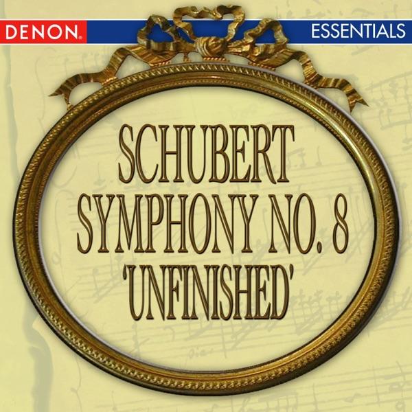 Symphony No. 8 'Unfinished': I. Allegro Moderato In B Minor