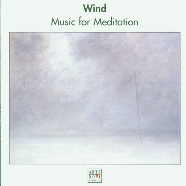 Concerto E Minor for Flute and String Orchestra: Rondo Russo - Allegro Vivace scherzando