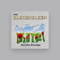 Die Blechnelken
