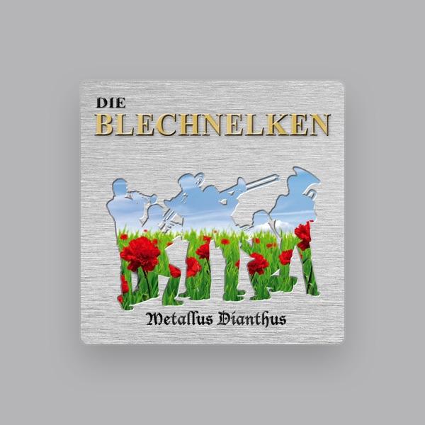 Die Blechnelken