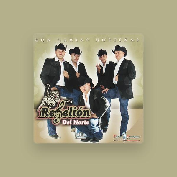 Rebelión del Norte