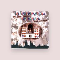 Las Peñas De Pamplona Por San Fermin