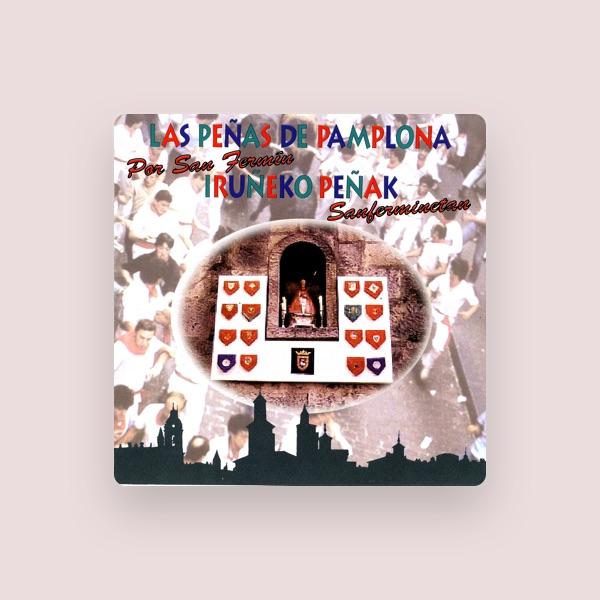 Las Peñas De Pamplona Por San Fermin