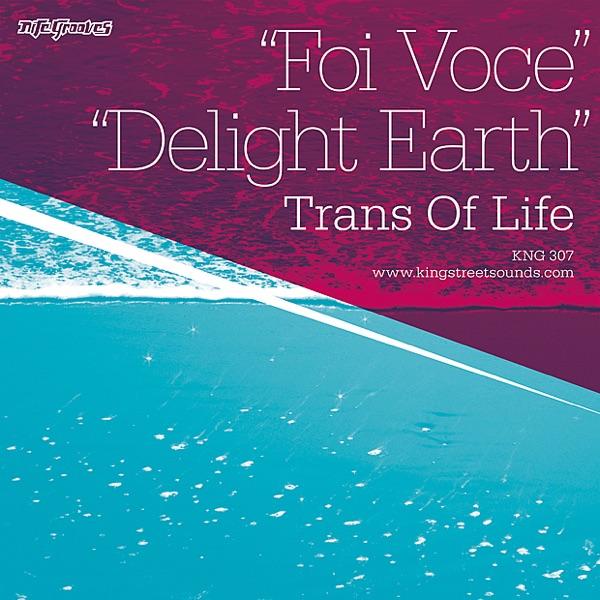 Foi Voce (TOL Strings Dub)