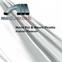 Arabian  Pleasure (Tuareg Edit Cut Mix)