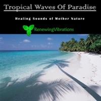 Tropical Waves of Paradise. Healing Sounds of Mother Nature. Great for Relaxation, Meditation, Sound Therapy and Sleep.