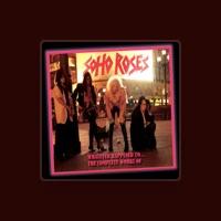Soho Roses