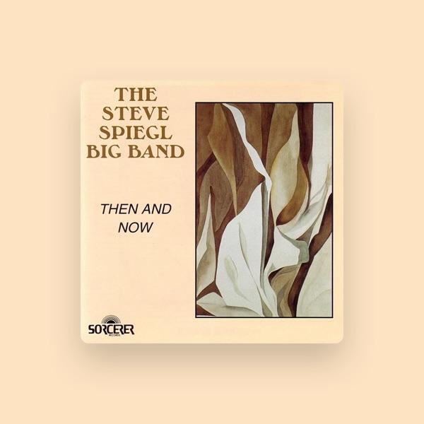 The Steve Spiegel Band