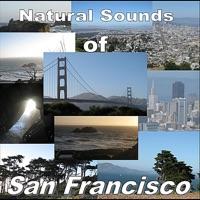Ocean Cave Waves in San Francisco
