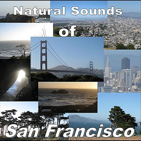 Ocean Cave Waves in San Francisco