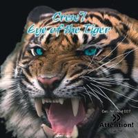 Eye of the Tiger (Sunset Crew Radio)