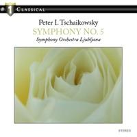 Symphony No. 5, Finale: Andante maestoso