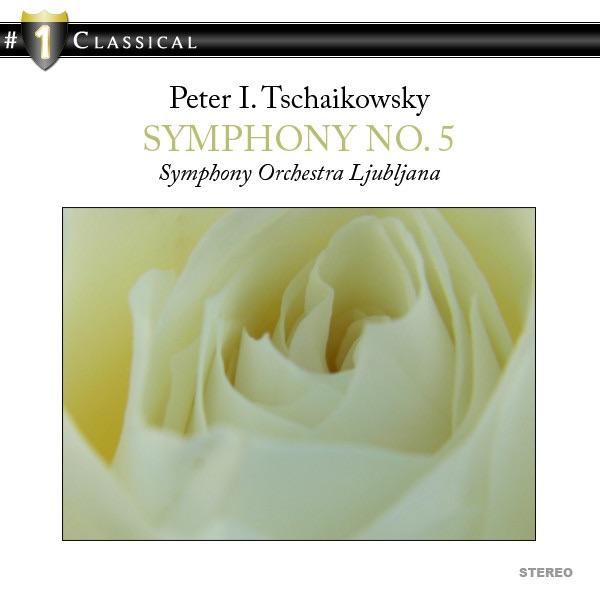 Symphony No. 5, Finale: Andante maestoso
