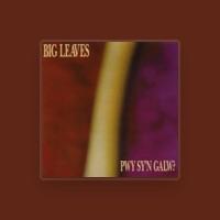 Big Leaves