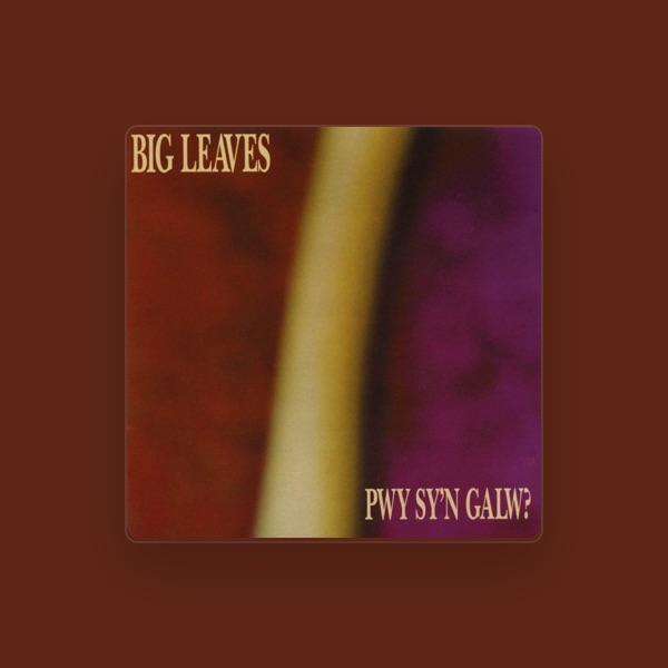 Big Leaves