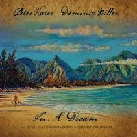 Time Will Tell (Peter Kater & Dominic Miller)