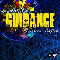 Guidance (Lovebirds BVstrumental Mix)