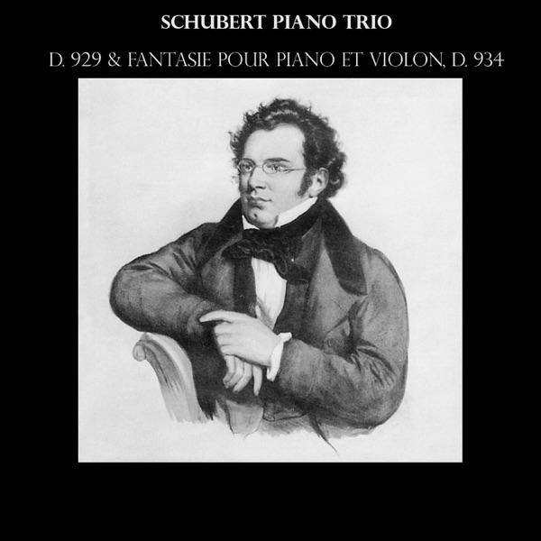 Piano Trio, in E falt Major, D 929: II. Andante con moto