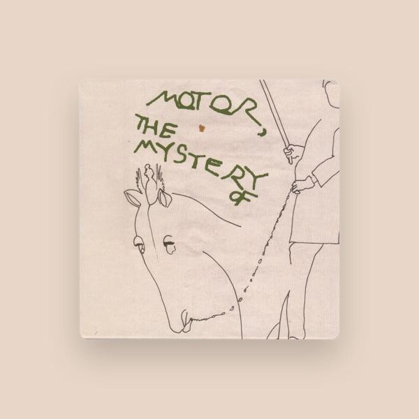 Motor