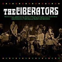Liberation (feat. Afro Moses)