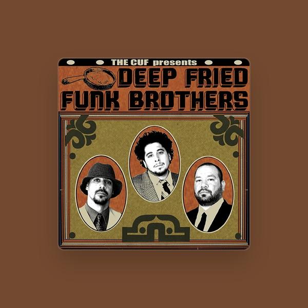Deep Fried Funk Brothers