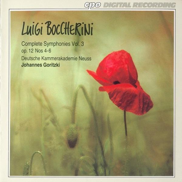 Symphony in D minor, Op. 12, No. 4, G. 506, "La casa del diavolo": III. Andante sostenuto - Allegro con molto