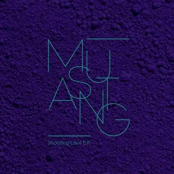 Shooting Love (Blackstrobe Remix)