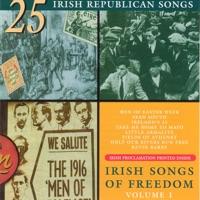 The Fields Of Athenry