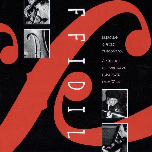 Cadi Ha'
