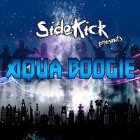 Aqua Boogie (Original Mix)